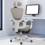 DROGO Premium Ergonomic Office Chair for Work from Home | High Back Computer Chair with Adjustable Seat