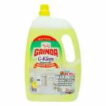 Gainda G-Kleen Disinfectant Surface Cleaner Multipurpose Floor Cleaner with Citrus Aroma 99.9% Germ Removal for Home, Toilets, Hospitals & Offices - 5 L