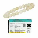 DVISHA Traders Natural Moonstone Bracelet for Men and Women | Lab Certified 8 mm Round Cut Beads | Healing Stone Bracelet for Emotional Balance and Reiki Healing | Jewelry for Women | Suitable for Gifting