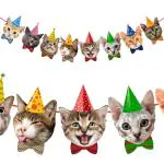 Zyozique Cat Birthday Banner, 1 Set Cat Face Party Banner, Kitty Cat Theme Party Bunting Decoration for Cat Party Favors