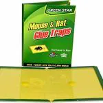 MAPPERZ Big Rat Trap Rat Pads Glue Pad Rat Catcher Gum Pad For Home/Office- 31x20x0.5cm(Pack of 5)