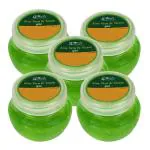 GLOBUS NATURALS Aloe Vera And Neem Gel Pack Of 5 (500 Ml)