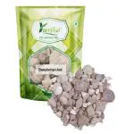 YUVIKA Banslochan Asli - Bambusa Arundinacea Willd. - Bamboo Champhor (100 Grams)