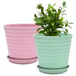 Eha Set of 2 Earth-Friendly Linea 7.5