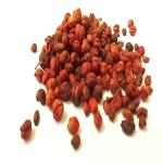 Natural & Herbal MALKANGNI-JYOTISHMATI-CELASTRUS PANICULATUS SEEDS 500 Per Packet