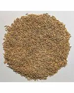 Green World Pusa 1121 Basmati Seeds - 3 Kg