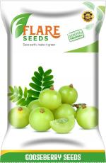 Flare Seeds Gooseberry Amla Seed 100 Per Packet