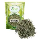 YUVIKA Somlata - Soma - Ephedra Vulgaris - Ephedra gerardiana (200 Grams)