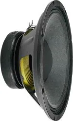 lewano Black 200 W Pro Audio Car Speaker, 10 Inch