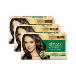 Streax Mocha Brown Highlights Kit (Set Of 1)