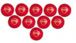 SG 'Everlast' Synthetic Cricket Leather Ball - Pack of 10