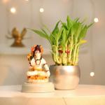 FlowerAura Decorative Air Purifying Lucky Bamboo Live Indoor Plant In Metal Vase Pot With Shiva God Idol Showpiece For Living Room, Balcony, Office/Home Decoration & Gifts For Friends, Colleagues And Neighbours.