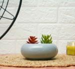 GOLD DUST Ellipse Cute Ceramic Pots for Indoor Plants Small, Succulent Pots Size 6 cm x 15 cm (Grey, Pack of 1)