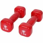 yash fitness One pair vinyl Dumbbell set026 Fixed Weight Dumbbell (2 kg) *.