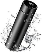 Whinsy Smart Flasks Bottle with LED Temperature Display