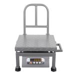 iScale i-21, 100kg x 10g Portable/ Mobile Scale with Double Display & Handle, MS Pan, 12x12
