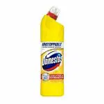 Domestos Citrus Bleach 750 ml