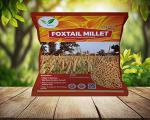 Iagrifarm Foxtail Millet - 500G - Natural Grains - (Kaon/Kang/Kangni/Kakum/Navani/korralu/Korra/Thinai). Millet Rice | High Protein & 100% More Fibre Than Rice