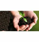 EARATAGROPOTS with Nature Organic Azospirillum Biocontrol Agents -1 Kg