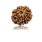 Feel Touch Mart 7 Mukhi Nepal Genuine Rudraksha Beads with Lab Certified for Men & Women