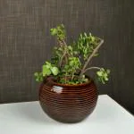 ARTYSTA BEAUTIFYING LIVES Brown Ceramic Cinnamon Ridged Painted Flower Pots for Garden