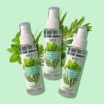 Richfeel Peppermint & Tea Tree Face Mist 100 ML Pack of 3