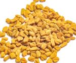 Plantzoin Fenugreek Methika Trigonella foenum-graecum Methi 50 Gram Seeds for Cultivation