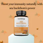 NutraHerbal Sea Buckthorn Capsules 60 capsules 500mg
