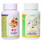 Jivan Shree Vitamin B17 500 Mg Purest Amygdalin 99.5 Percent Apricot Kernel Extract 100 Percent Organic Natural Antioxidant Immune Booster Carica Papaya - Pack Of 2