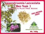 Bokashibran Pioneer Agro Industry Ben Teak Tree Seeds 100 g