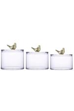 Homies Transparent Acrylic Mason Jars Canister with Golden Bird Lid Set of 3