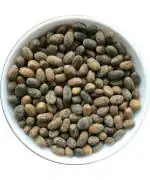 Vinayak Herbals Jamal Gota Seeds 250g
