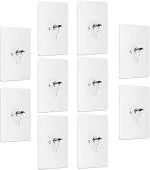 RDH Transparent Stainless Steel Wall Screw Hook 20 Piece