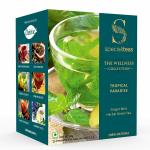 Cherise Specialiteas Tropical Paradise Ginger Mint Herbal Green Tea (2 g x 25 Pyramid Tea Bags)