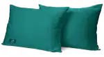 THE WOOD WHITE Microfiber Teal Soft Pillows Set of 2. 16 x 24 Inches