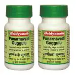 Baidyanath Punarnavadi Guggulu (80 Tablets) (Pack of 2)