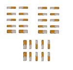 AHCS Sujok Therapy Bar Magnet (Set of 10)