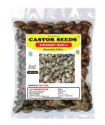 3V Products Castor Seeds Arandi Ke Beej, 50 G (Pack Of 2)