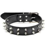 PetCeptual Pure Leather Dog Spike Collar for Medium & Large Dogs (Color Will be Sent as per The Availability)