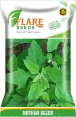 Flare Seeds Bathua Seed 500 Per Packet