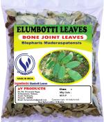 3V Products Dried Elumbotti Ilai, 100 G