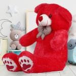Ziraat 4 Feet Red Teddy Bear/Lovely/Hug gable/American Big Teddy