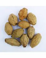 Green World Organic Malabar Neem Seeds 1000 g