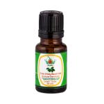 KUNJ Tulsi Holy Basil Oil (Ocimum sanctum) 100% Pure & Natural Undiluted Therapeutic Grade. Steam Distilled. Skin care Hair care & Aromatherapy. 10ML