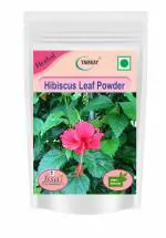 Yamkay Hibiscus Leaf Sembaruthi Leaf Rosa Sinensis gudhal Powder 100 gm