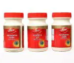 Dabur Dhatupaushtik Churna, 100 g (pack of 3)