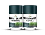 GRINBIZZ Wheat Grass Capsule For Effective Weight Management, Natural Detoxification, Anti-Inflammation & Energy Supplement For Men & Women