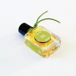 Ildela Noir Fern Perfume for Women - Staggering 40% Concentration, Luxury Eau de Parfum