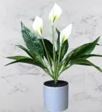 ARTIFICIAL PEACE LILY PLANT WITH WHITE FLOWER WITH POT