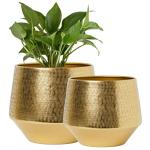 ecofynd 6 inches, Pack of 2 Eion Gold Metal Plant Pot, Decorative Modern Indoor Planter Flower Pots